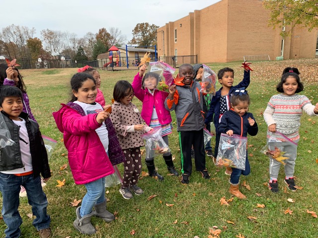first graders on a leaf hunt